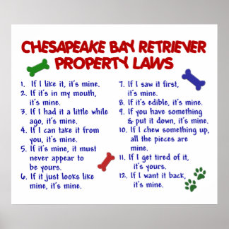 CHESAPEAKE BAY RETRIEVER PL2 POSTER