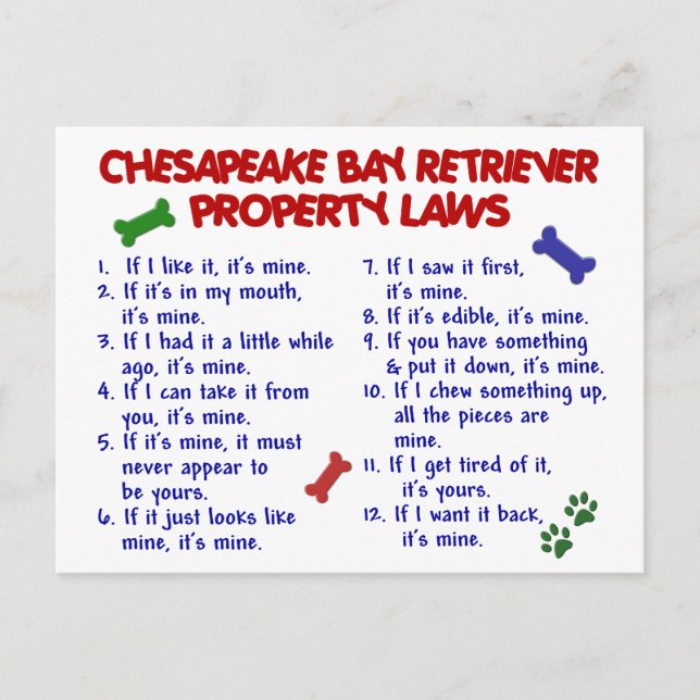 CHESAPEAKE BAY RETRIEVER Property Laws 2 Postcard (Front)