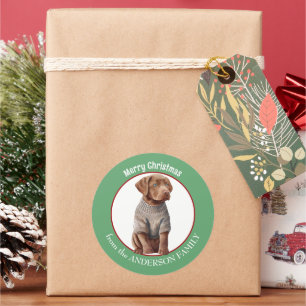 Chesapeake Bay Retriever Pup in Winter Sweater Classic Round Sticker