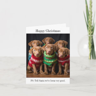 Chesapeake Bay Retriever Puppies Christmas Card