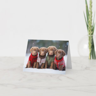 Chesapeake Bay Retriever Puppies Christmas Card