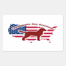 Chesapeake Bay Retriever