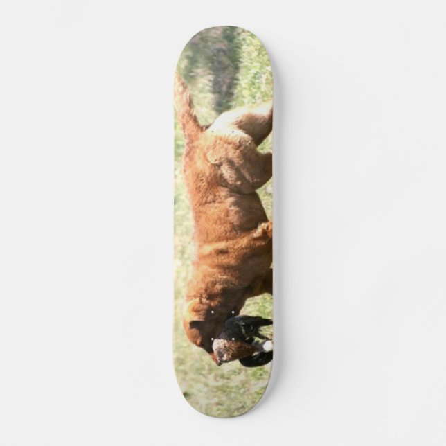 Chesapeake Bay Retriever Skateboard (Front)