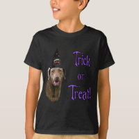 Chesapeake Bay Retriever Trick