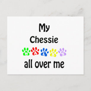 Chesapeake Bay Retriever Walks Design Postcard