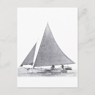Chesapeake Bay Skipjack Postcard