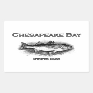 Chesapeake Bay Striped Bass Rectangular Sticker