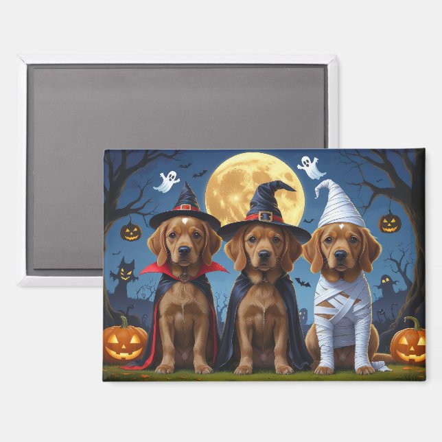 Chesapeake Bay Terrier Pumpkin Halloween Funny Magnet (Front/Back)
