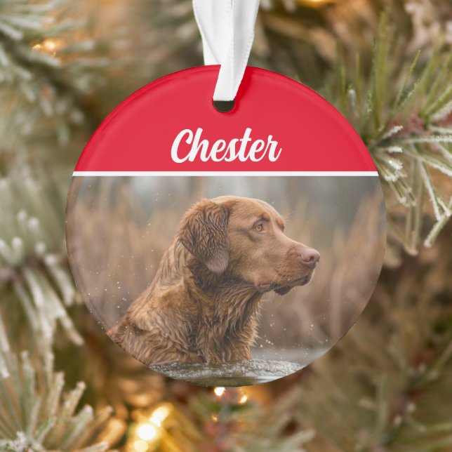Chesapeake Retriever with Name and Photo Christmas Ornament (Tree)