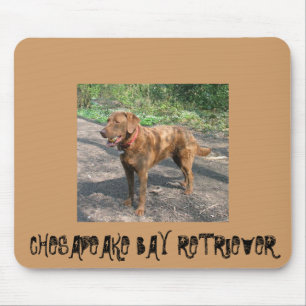 Chesapeakebay retriever mouse mat