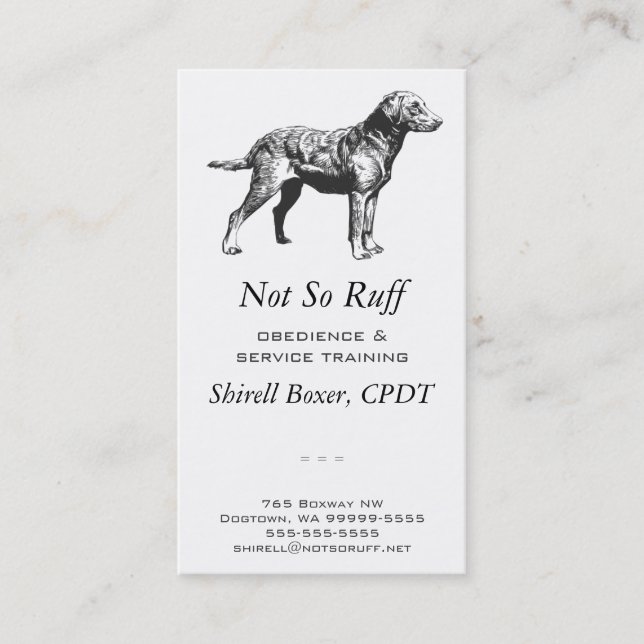 Chesepeake Bay Retriever Dog Business Business Card (Front)