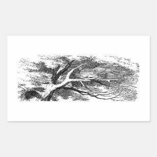 Cheshire Cat Hidden in a Tree Rectangular Sticker