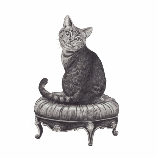 Cheshire Cat Photo Sculpture Alice in Wonderland (Front)