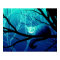 Cheshire Cat Poster - Blue