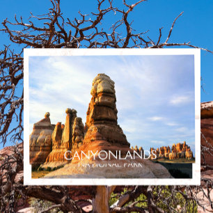 Chesler Park, Needles, Canyonlands National Park Postcard