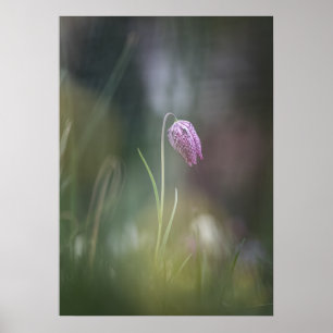 Chess Flower Photo Poster