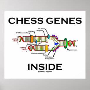 Chess Genes Inside (DNA Replication) Poster