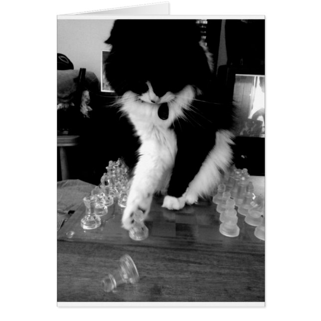 chess playing cat (Front)