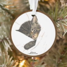 Chessie the Kitten Acrylic Ornament