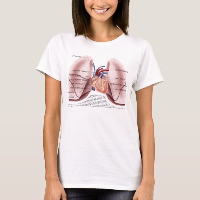 Chest anatomy ladies baby doll shirt (Front)