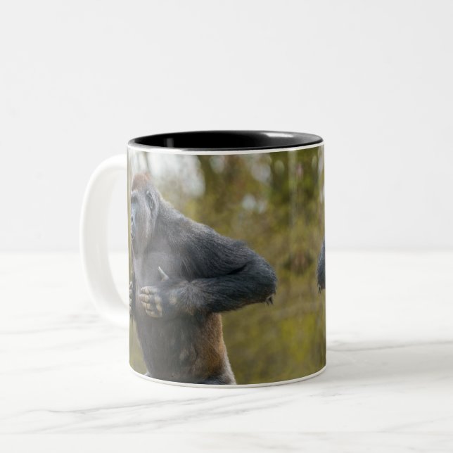Chest Beating Gorilla Two-Tone Coffee Mug (Front Left)