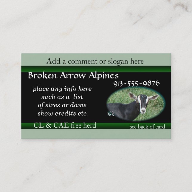 Chester Business Card-customise it Card (Front)