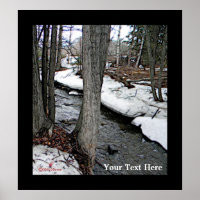 Chester Creek