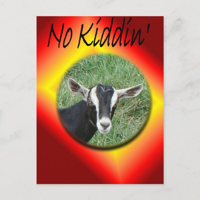 Chester Postcard-customise any occasion Invitation Postcard (Front)