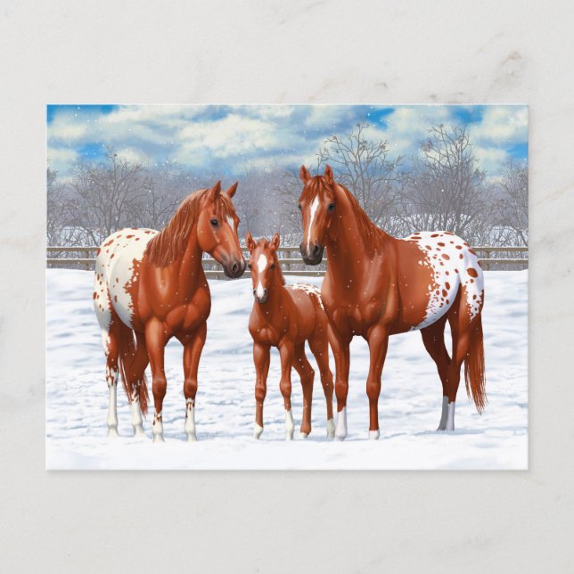 Chestnut Appaloosa Sorrel Quarter Horses in Snow Postcard (Front)