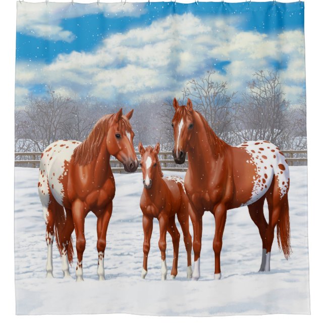 Chestnut Appaloosa Sorrel Quarter Horses in Snow Shower Curtain (Front)