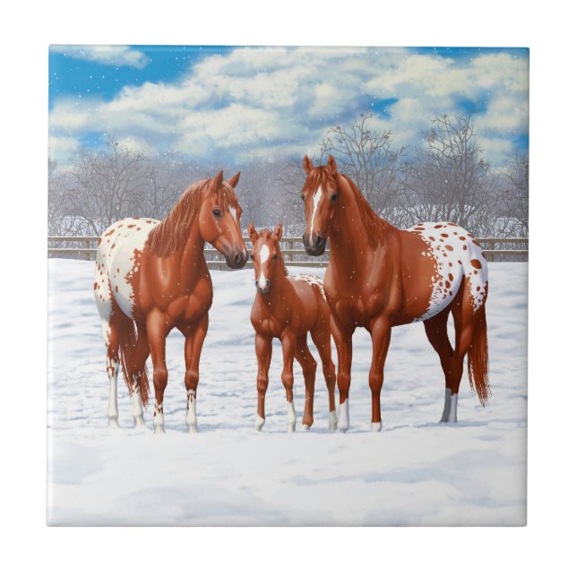 Chestnut Appaloosa Sorrel Quarter Horses in Snow Tile (Front)