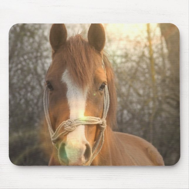  Chestnut Arab Horse Mouse Pad (Front)
