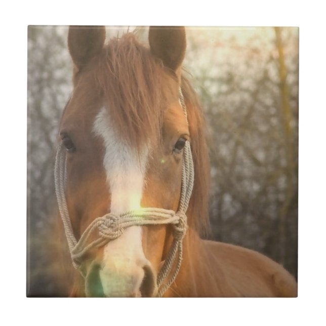 Chestnut Arab Horse Tile (Front)