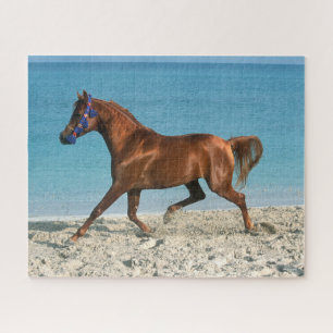 Chestnut Arab Stallion Running on Beach Jigsaw Puzzle