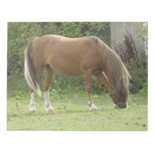 Chestnut Brown Horse Grazing Notepad