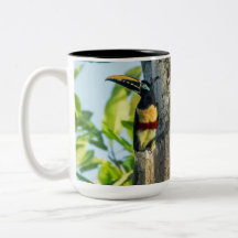 Chestnut-eared Aracari Large Mug