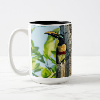 Chestnut-eared Aracari Large Mug