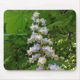 chestnut flower mouse mat