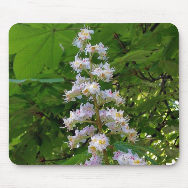 chestnut flower mouse mat (Front)