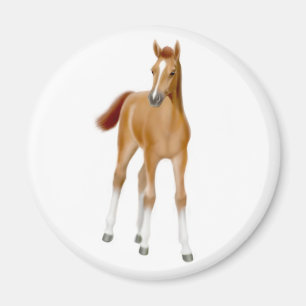 Chestnut Foal Magnet