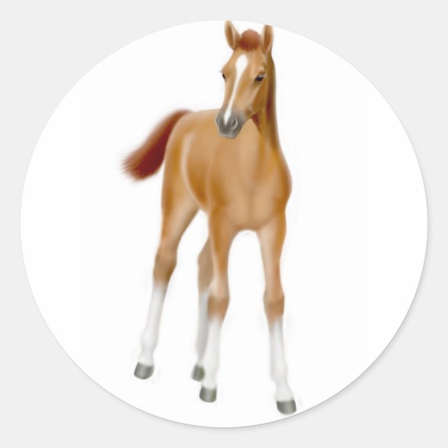 Chestnut Foal Sticker (Front)