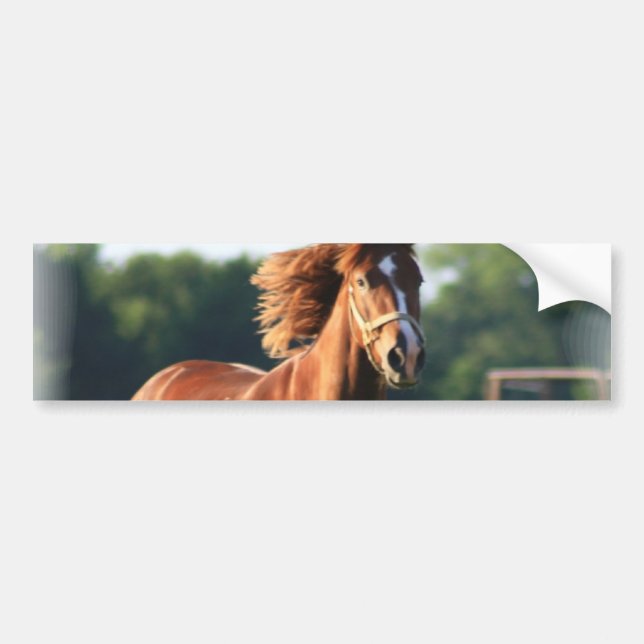 Chestnut Galloping Horse Bumper Sticker (Front)