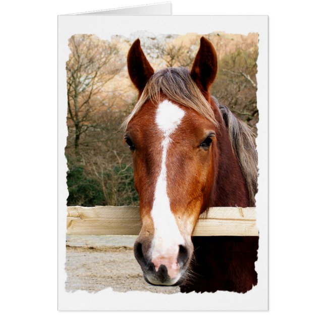 CHESTNUT HORSE CARD (Front)