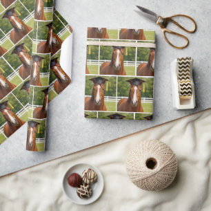 Chestnut Horse Graduate Wrapping Paper