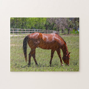Chestnut Horse in a Field Jigsaw Puzzle