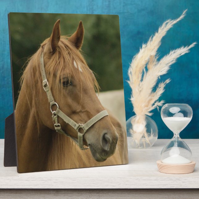 Chestnut Horse in a Field Plaque (Side)