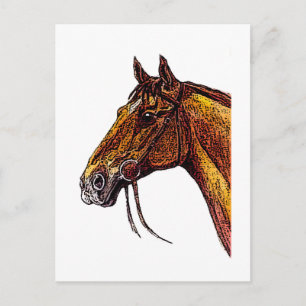 Chestnut Horse Ink Postcard
