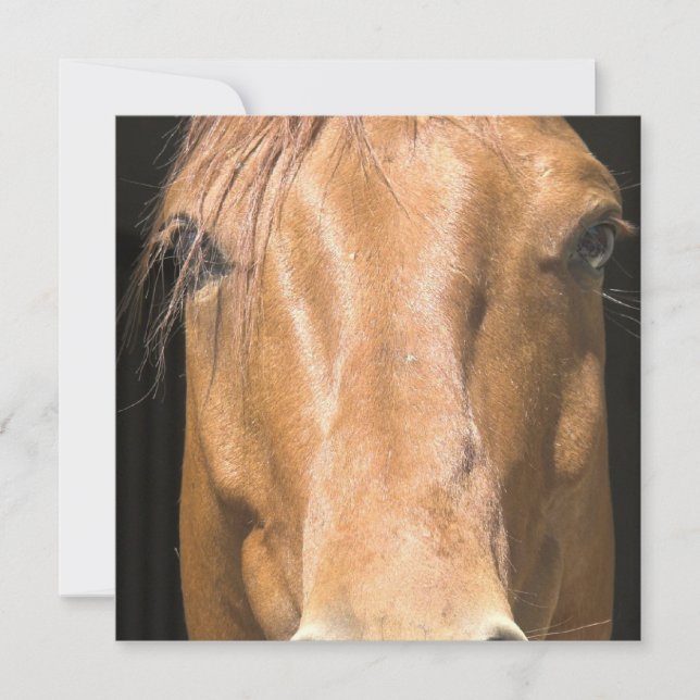 Chestnut Horse Invitation (Front)