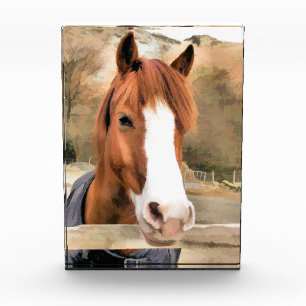 CHESTNUT HORSE PHOTO BLOCK