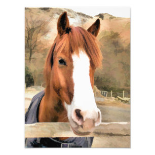 CHESTNUT HORSE PHOTO PRINT